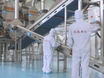 2025年的第一個月，承德亞歐果仁有限公司在山杏產(chǎn)業(yè)的道路上持續(xù)奮進(jìn)，展現(xiàn)出蓬勃的發(fā)展活力。